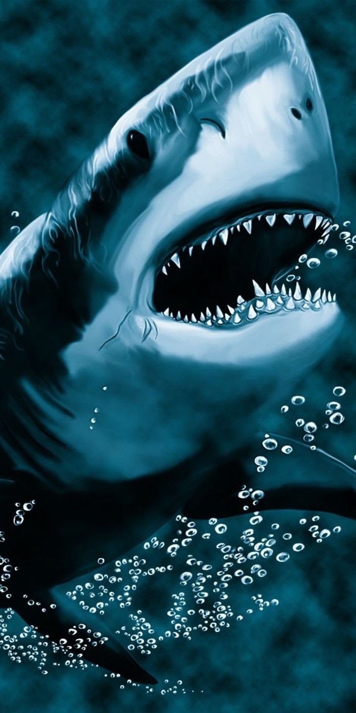 Fondo de pantalla de  720x1440