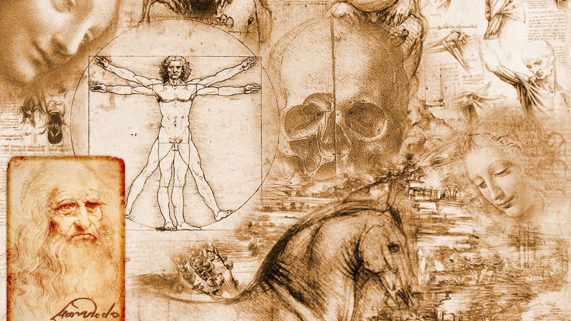 Más de 61 fondos de pantalla de Da Vinci