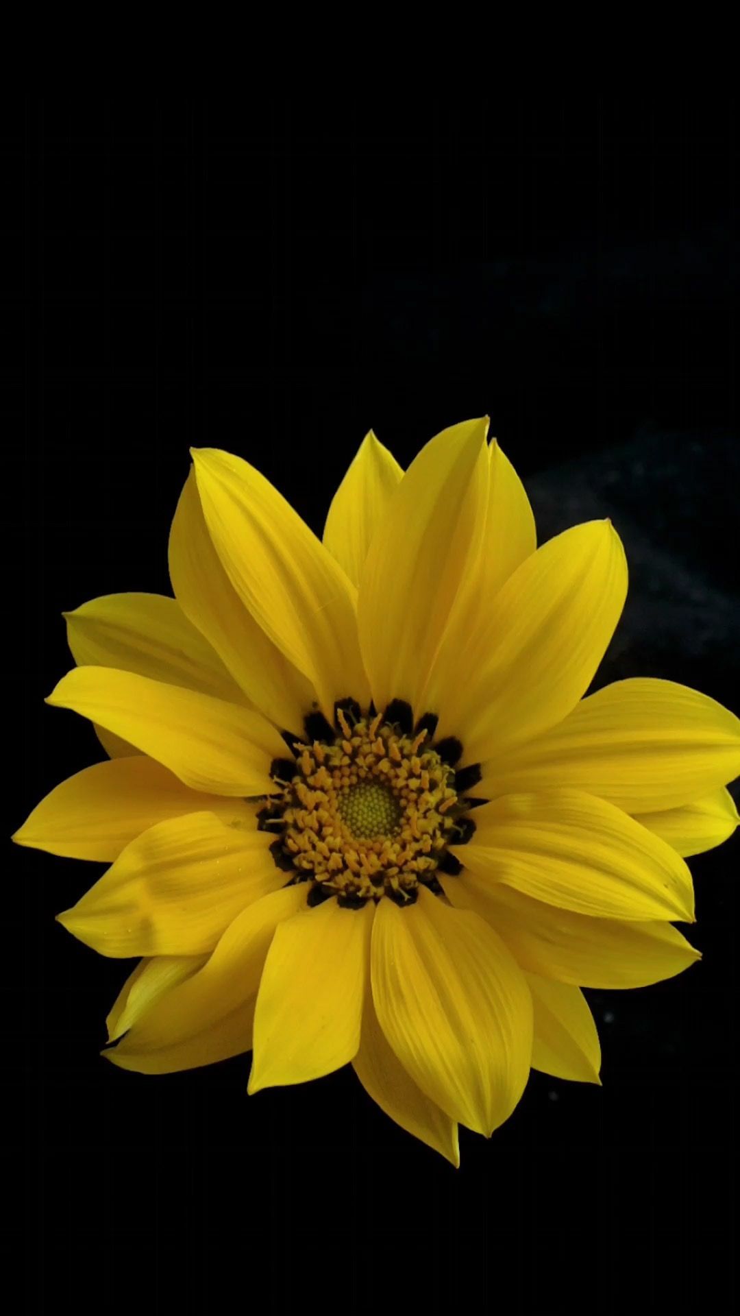 Fondo de pantalla de  1080x1920