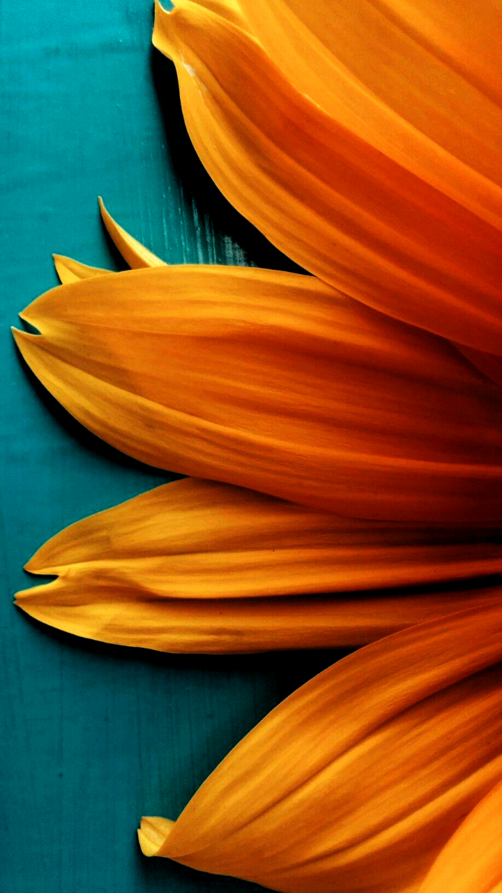 Fondo de pantalla de  720x1280