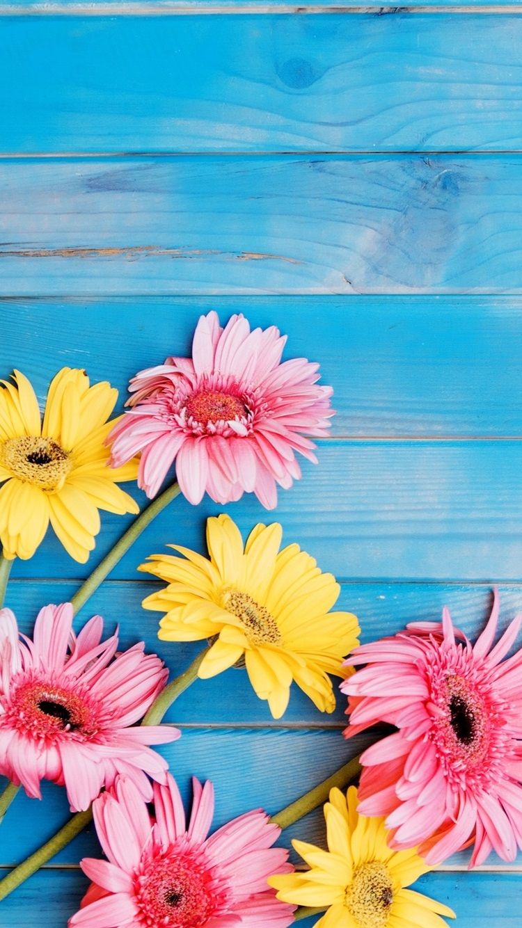 Fondo de pantalla de  750x1334