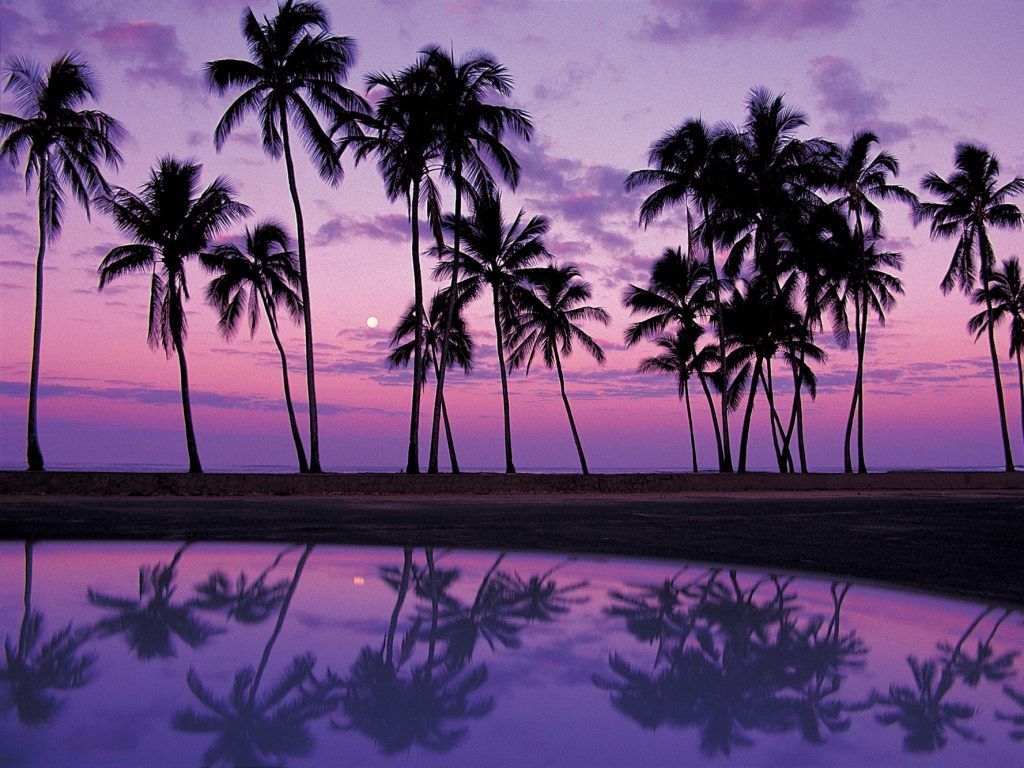 Fondo de pantalla de  1024x768