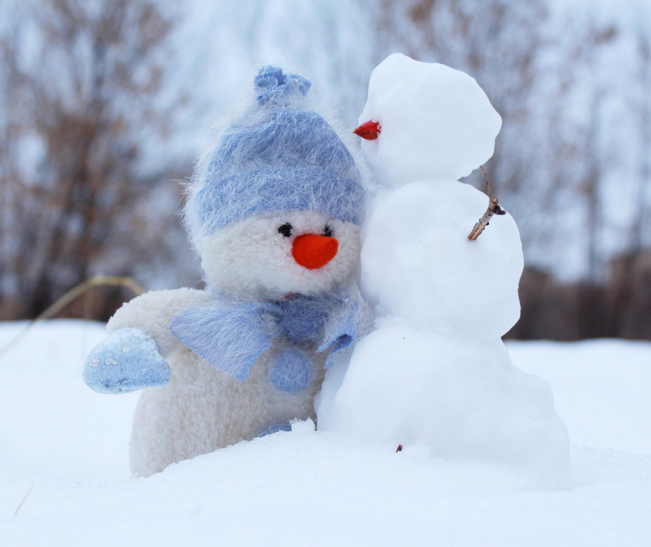 Fondo de pantalla de  2494x2098