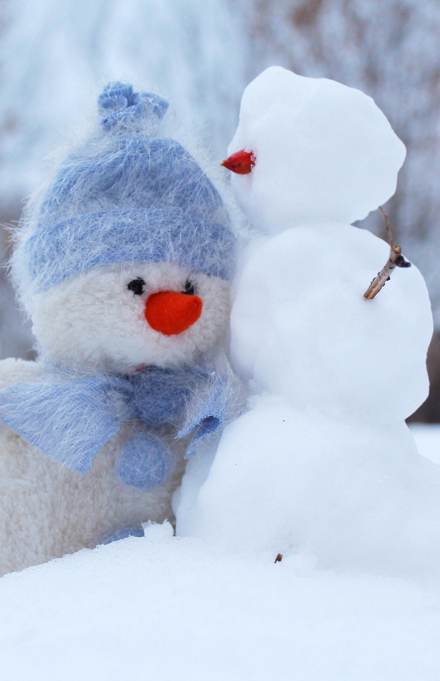 Fondo de pantalla de  1530x2370