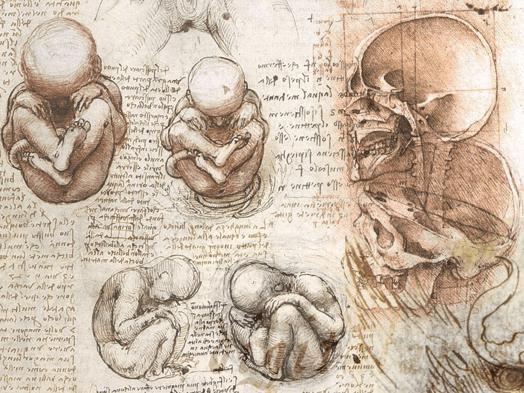 Fondo de pantalla de Leonardo Da Vinci | (50 ++ Fondos de pantalla)