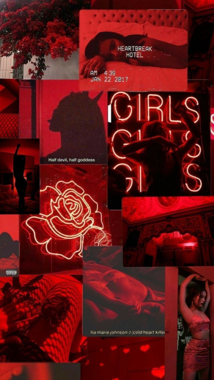 Fondo de pantalla de  736x1308