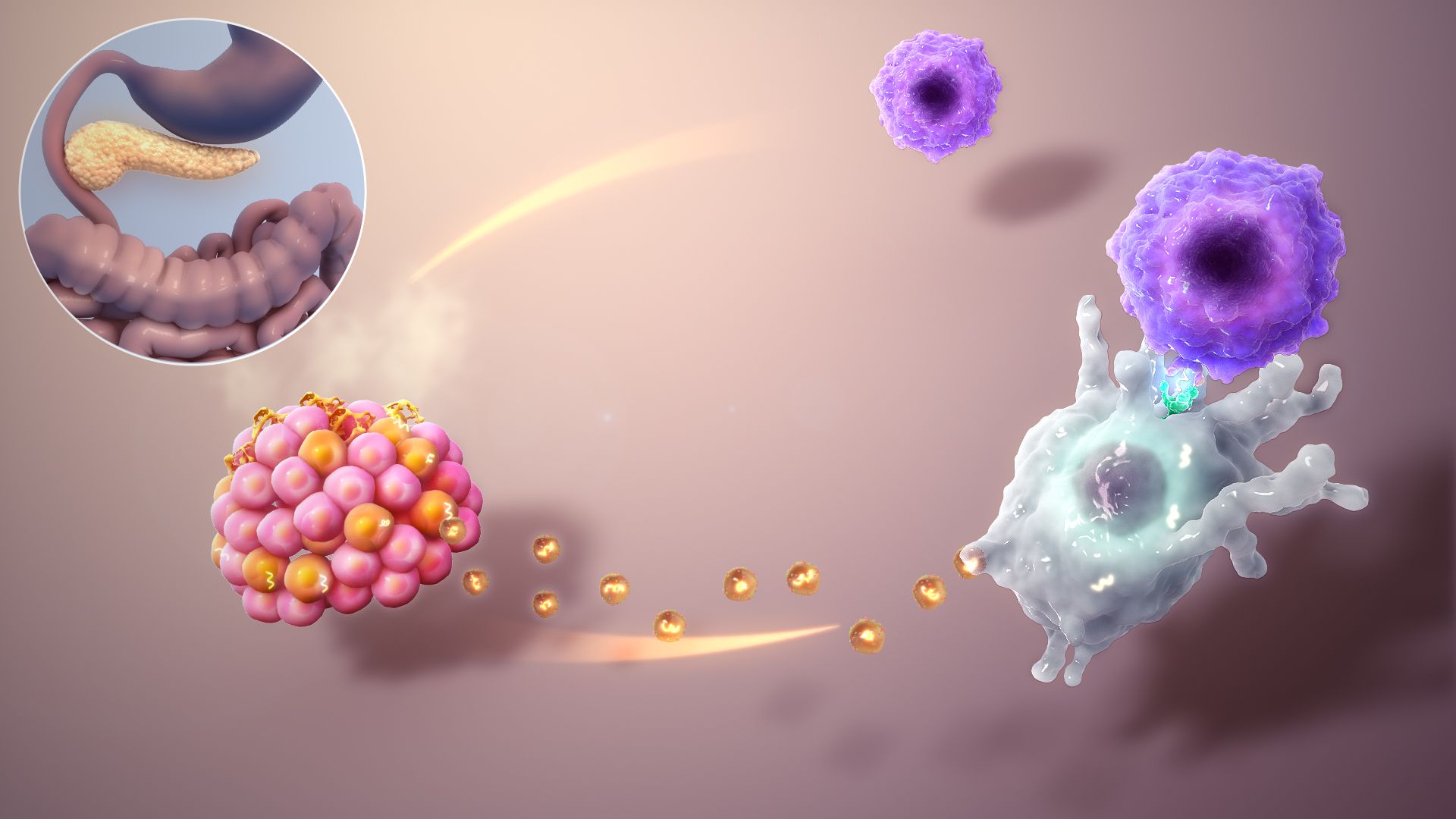 Fondo de pantalla de  1920x1080