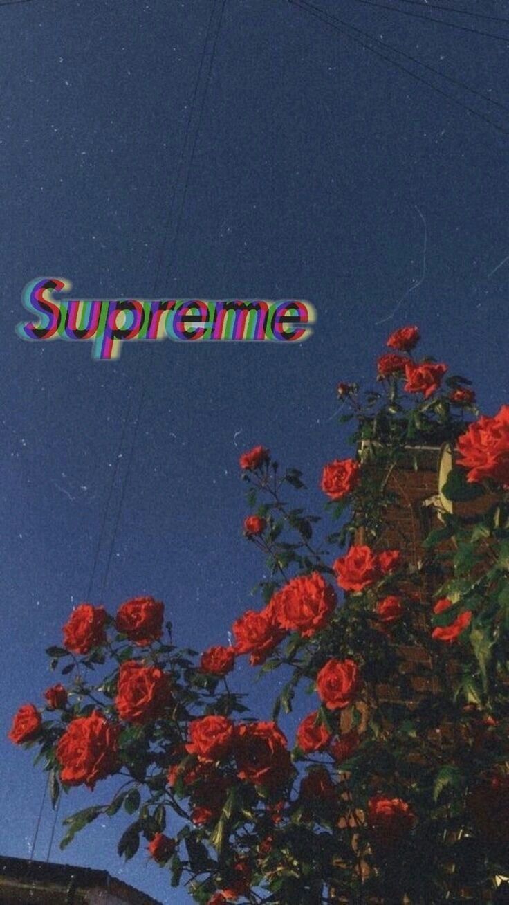 Fondo de pantalla de  736x1308