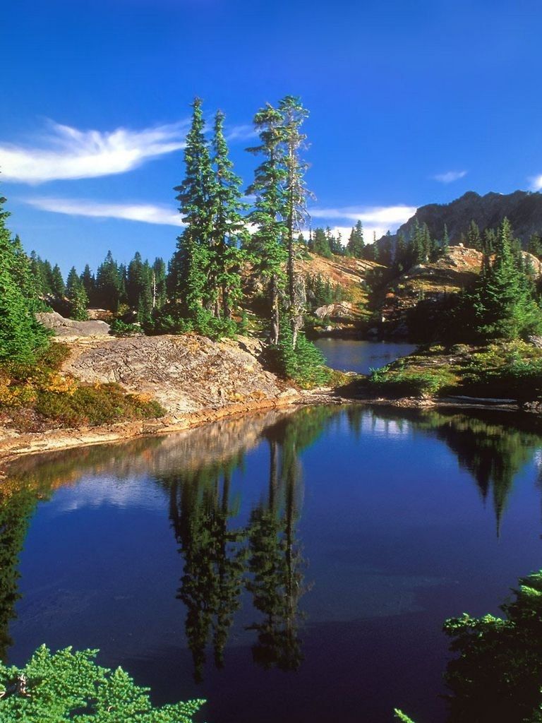 Fondo de pantalla de  768x1024