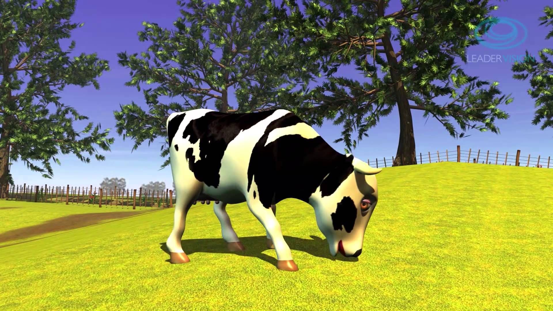 Fondo de pantalla de  1920x1080