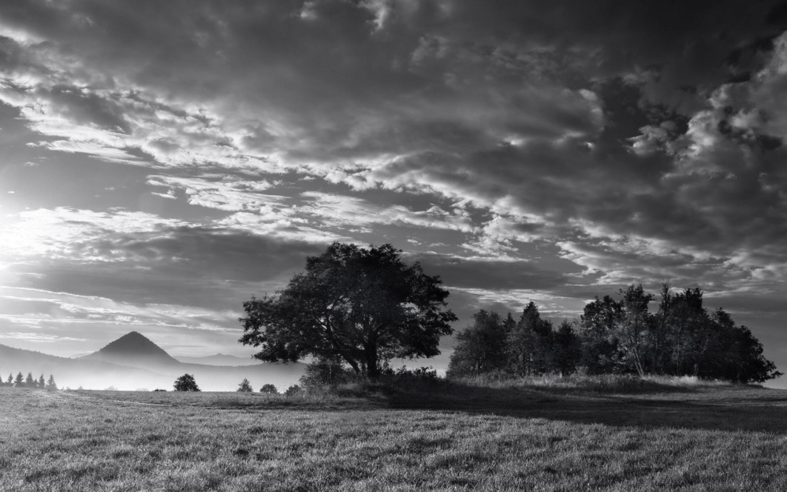 Fondo de pantalla de  2560x1600