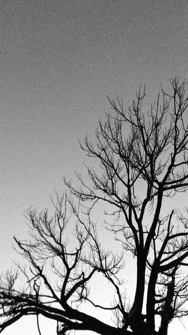 Fondo de pantalla de  720x1280