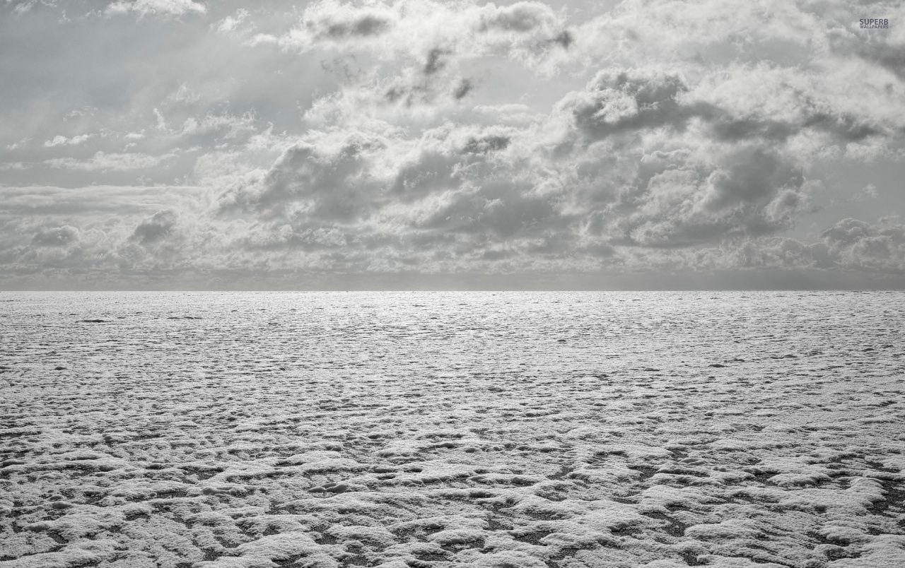 Fondo de pantalla de  1280x804