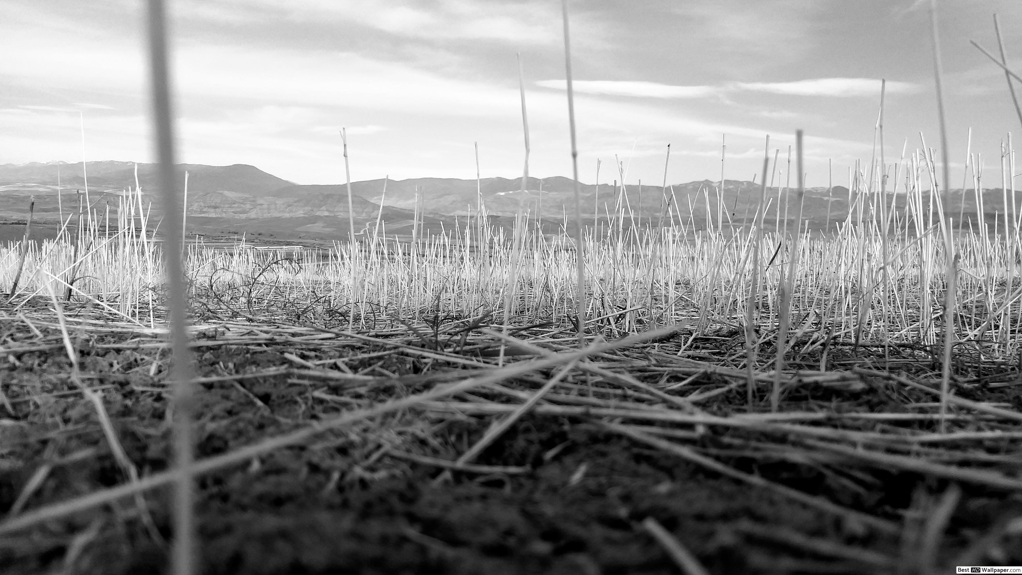 Fondo de pantalla de  3554x1999