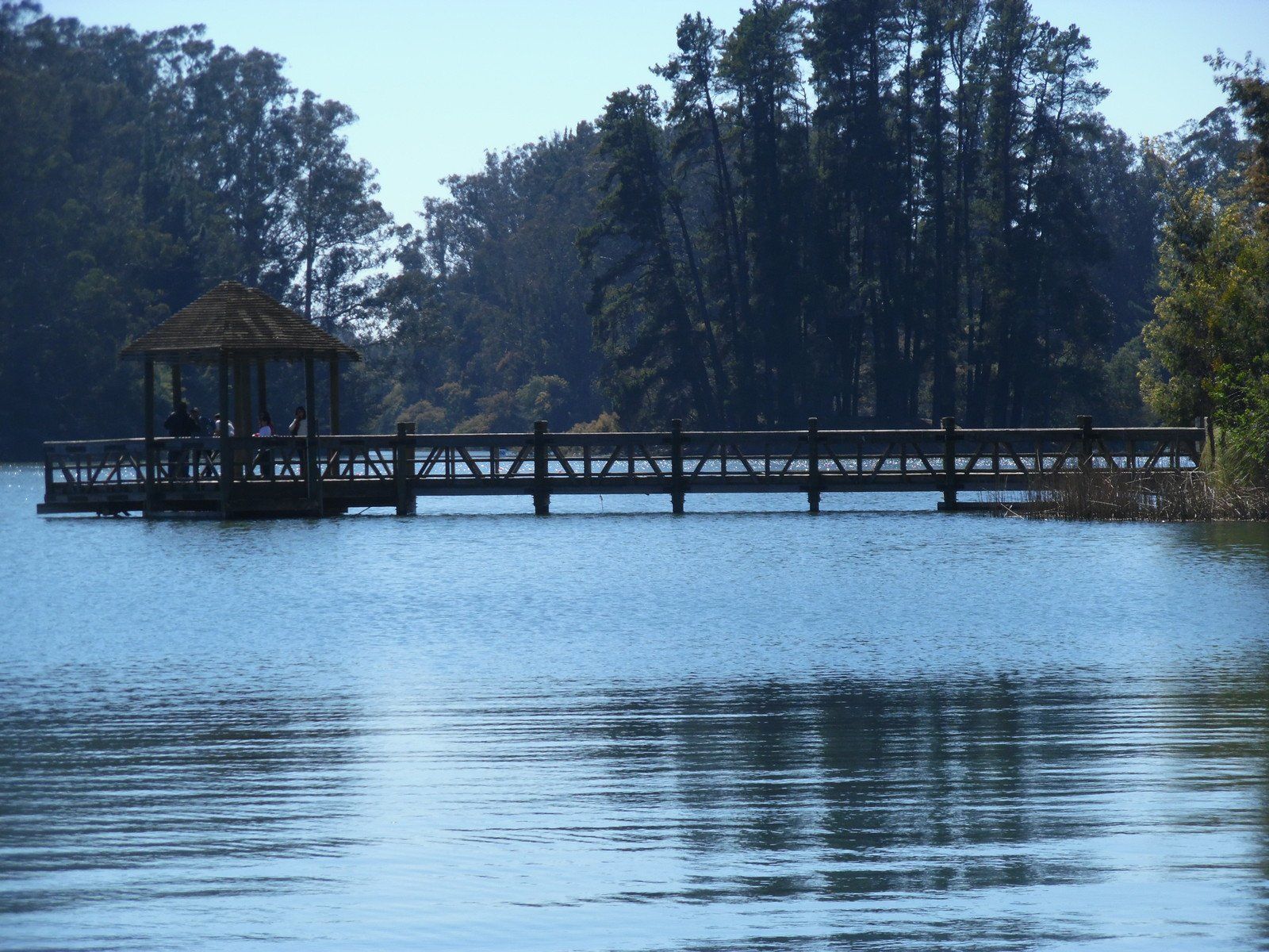 Fondo de pantalla de  1600x1200