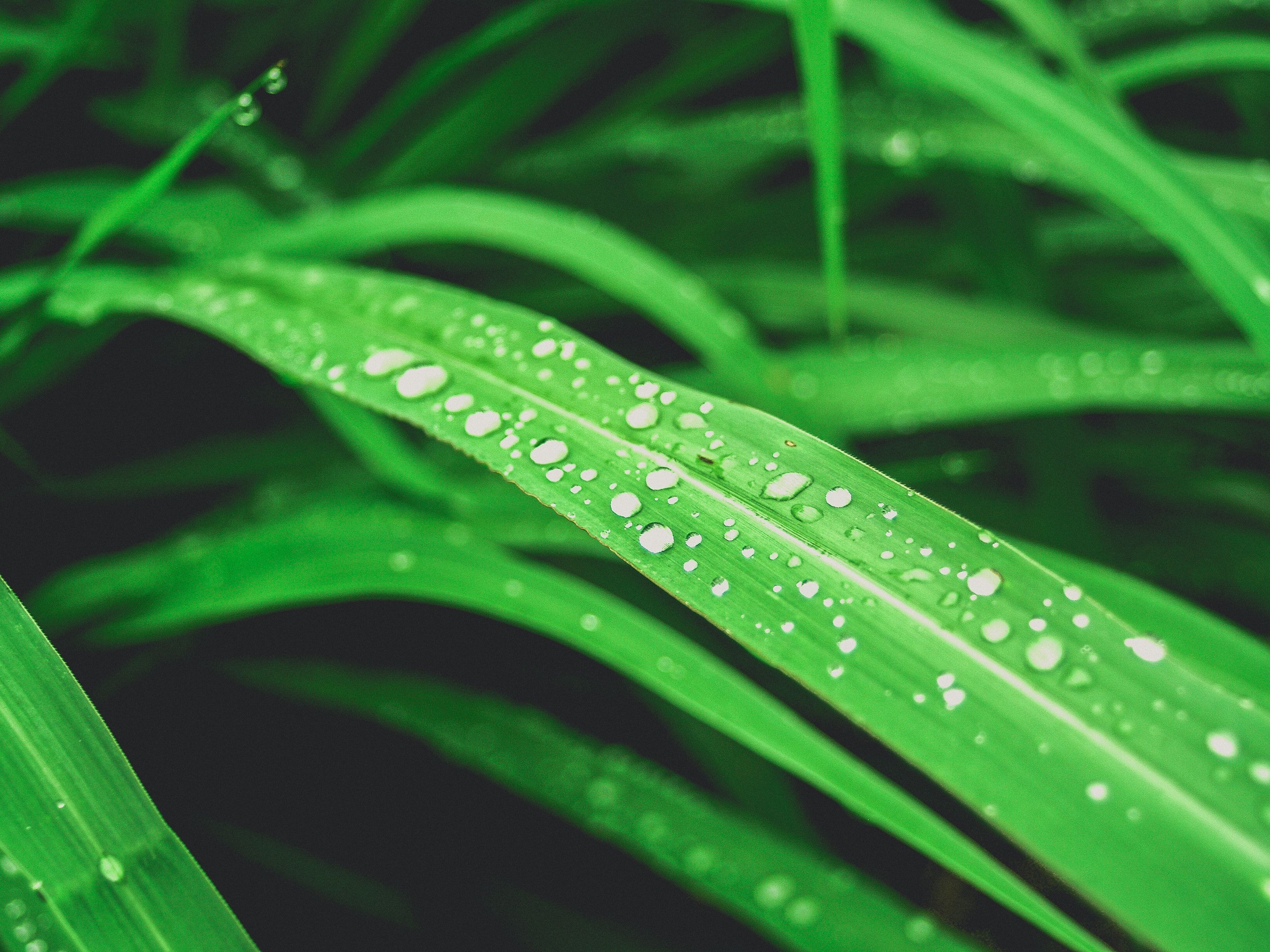 Fondo de pantalla de  3200x2400