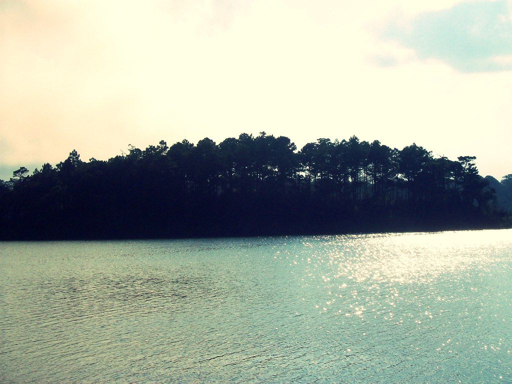 Fondo de pantalla de  1024x768