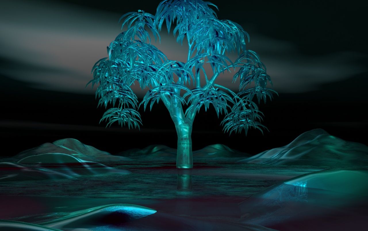 Fondo de pantalla de  1280x804