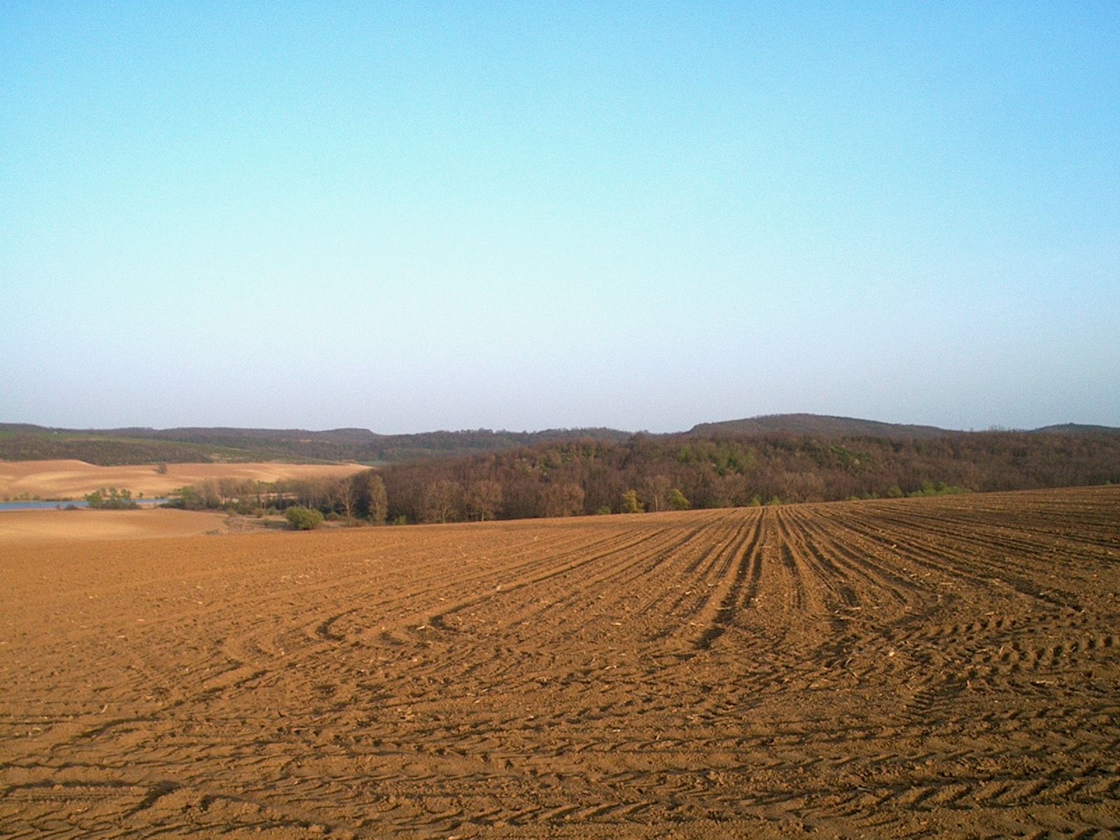 Fondo de pantalla de  1600x1200