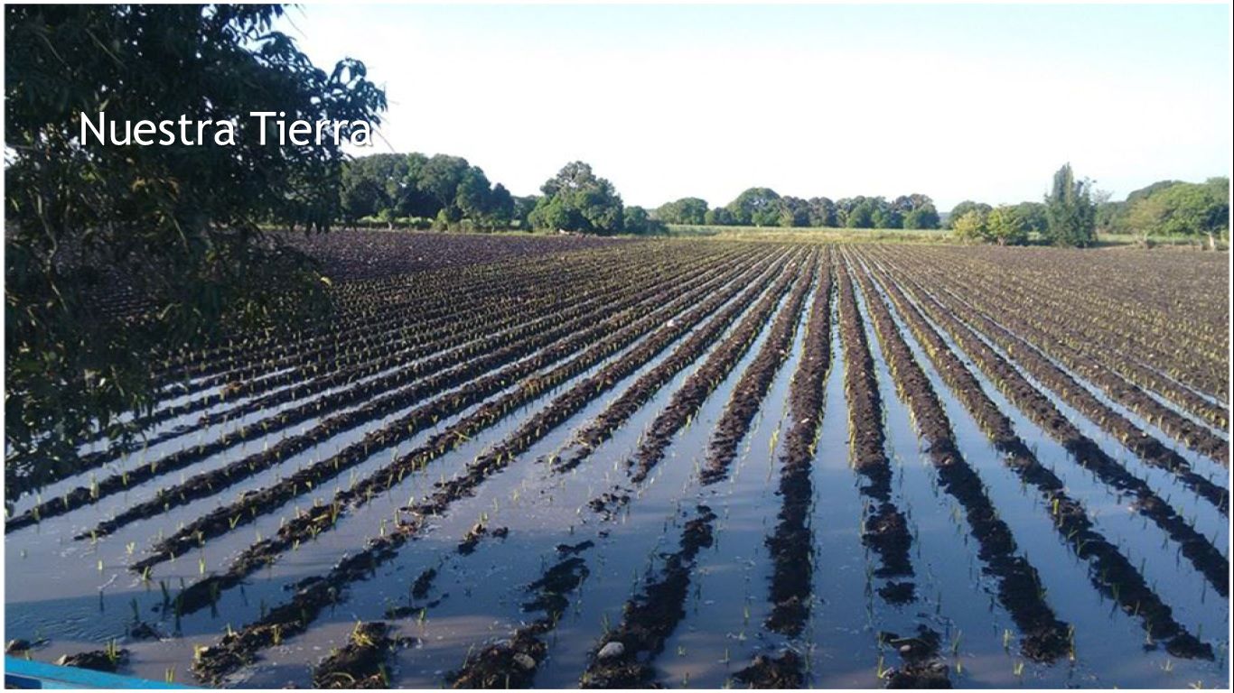 Fondo de pantalla de  1366x768