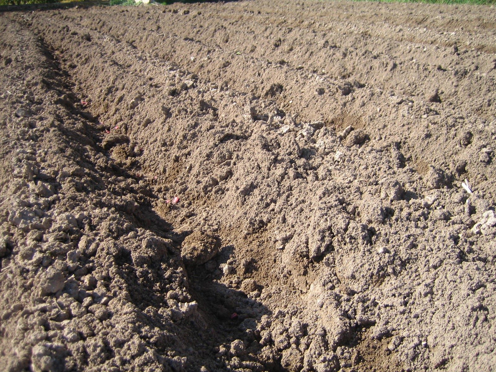 Fondo de pantalla de  1600x1200