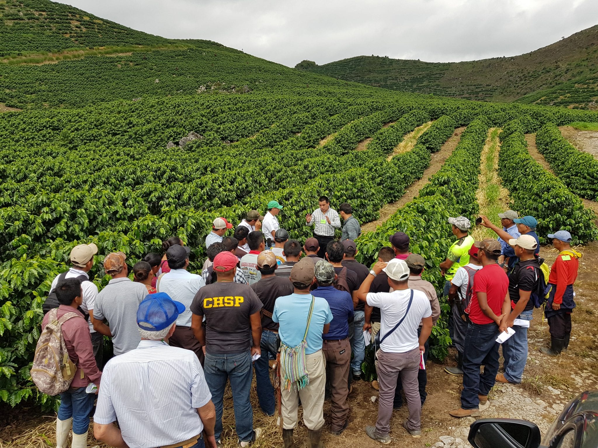 Fondo de pantalla de  2048x1536