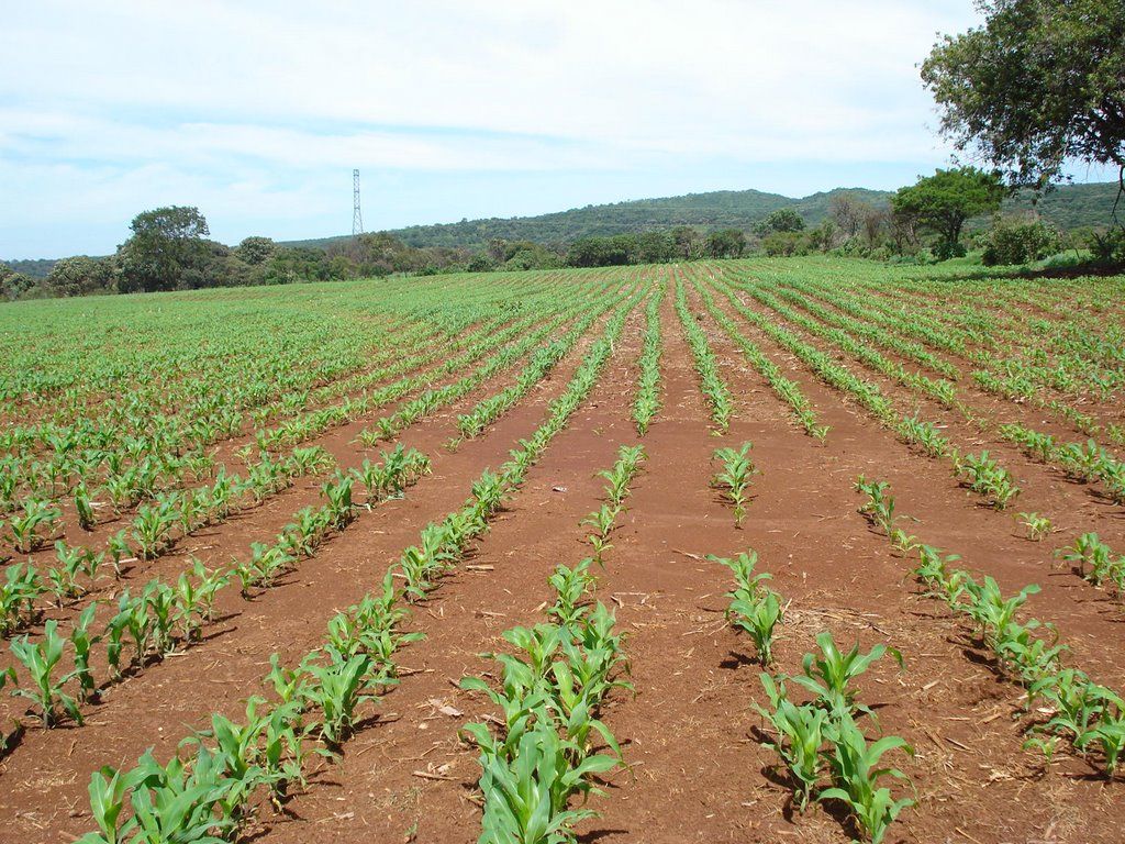 Fondo de pantalla de  1024x768