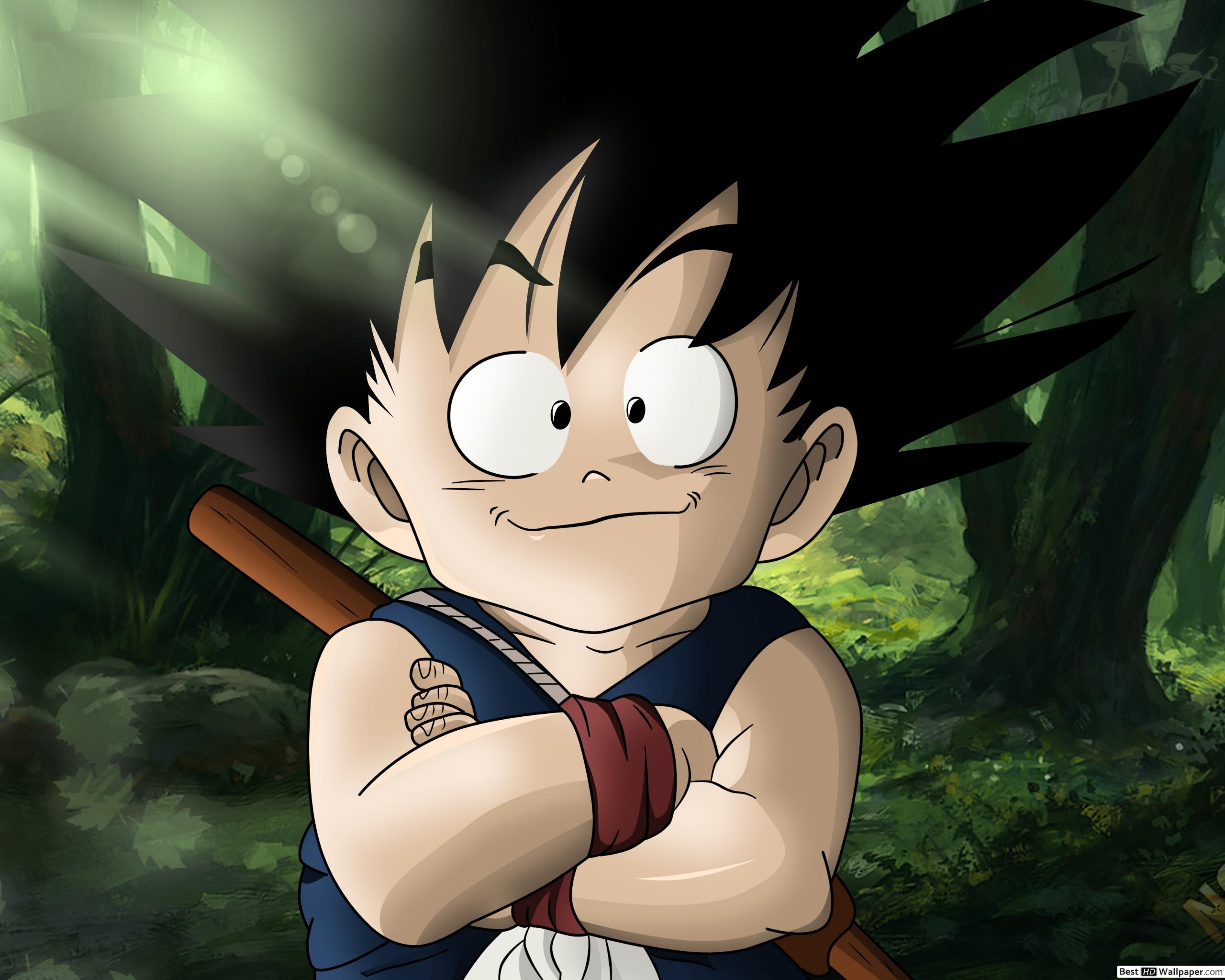 Fondo de pantalla de  2560x2048