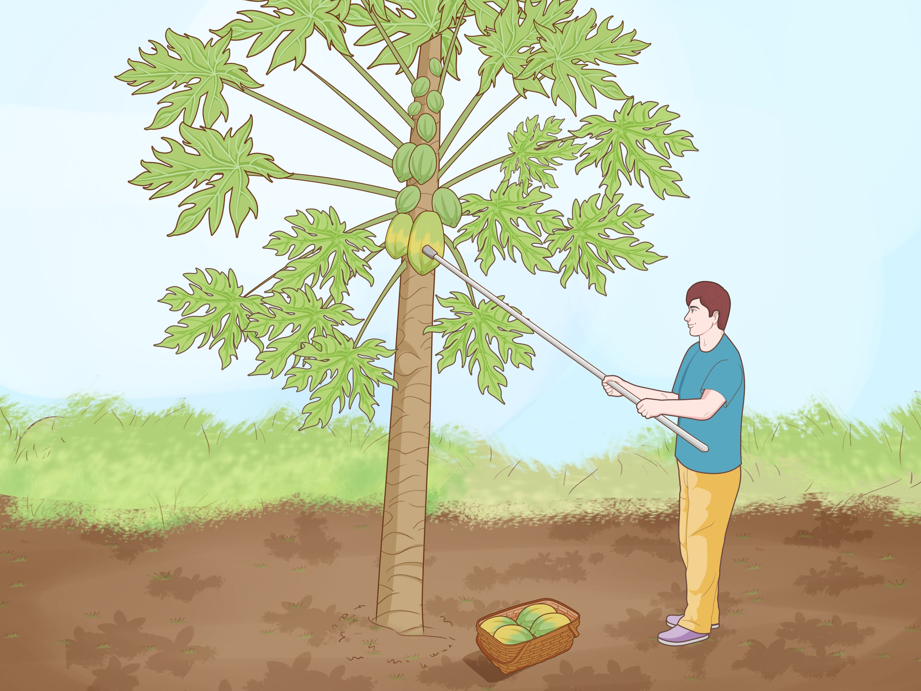 Fondo de pantalla de  3200x2400