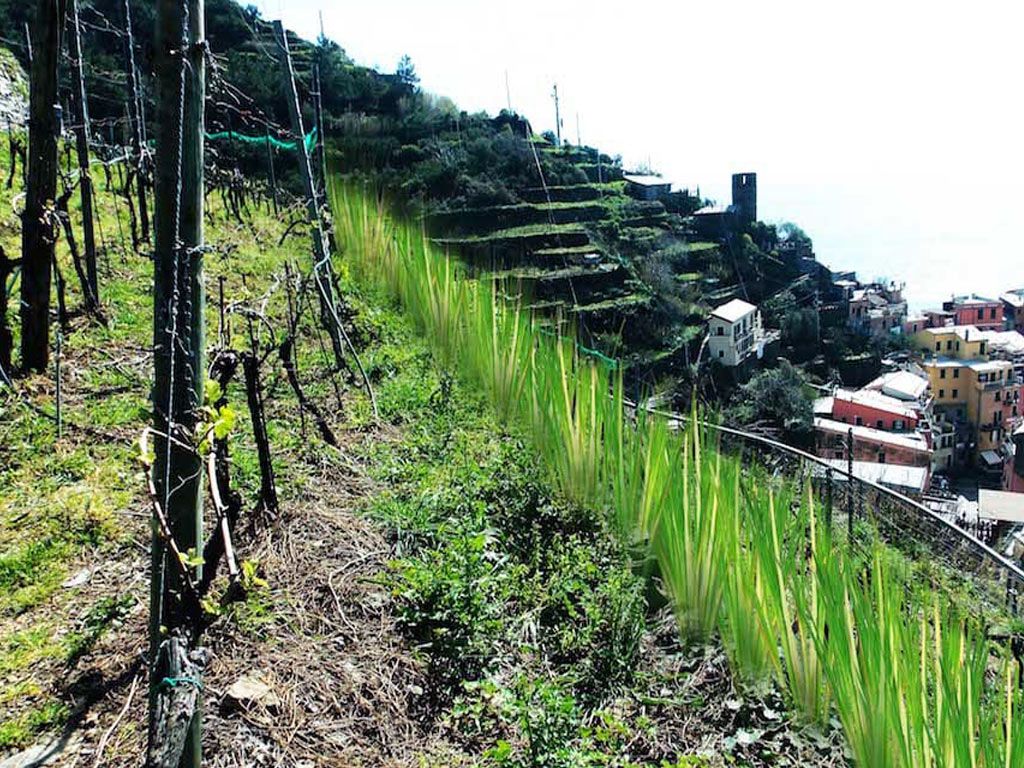 Fondo de pantalla de  1024x768