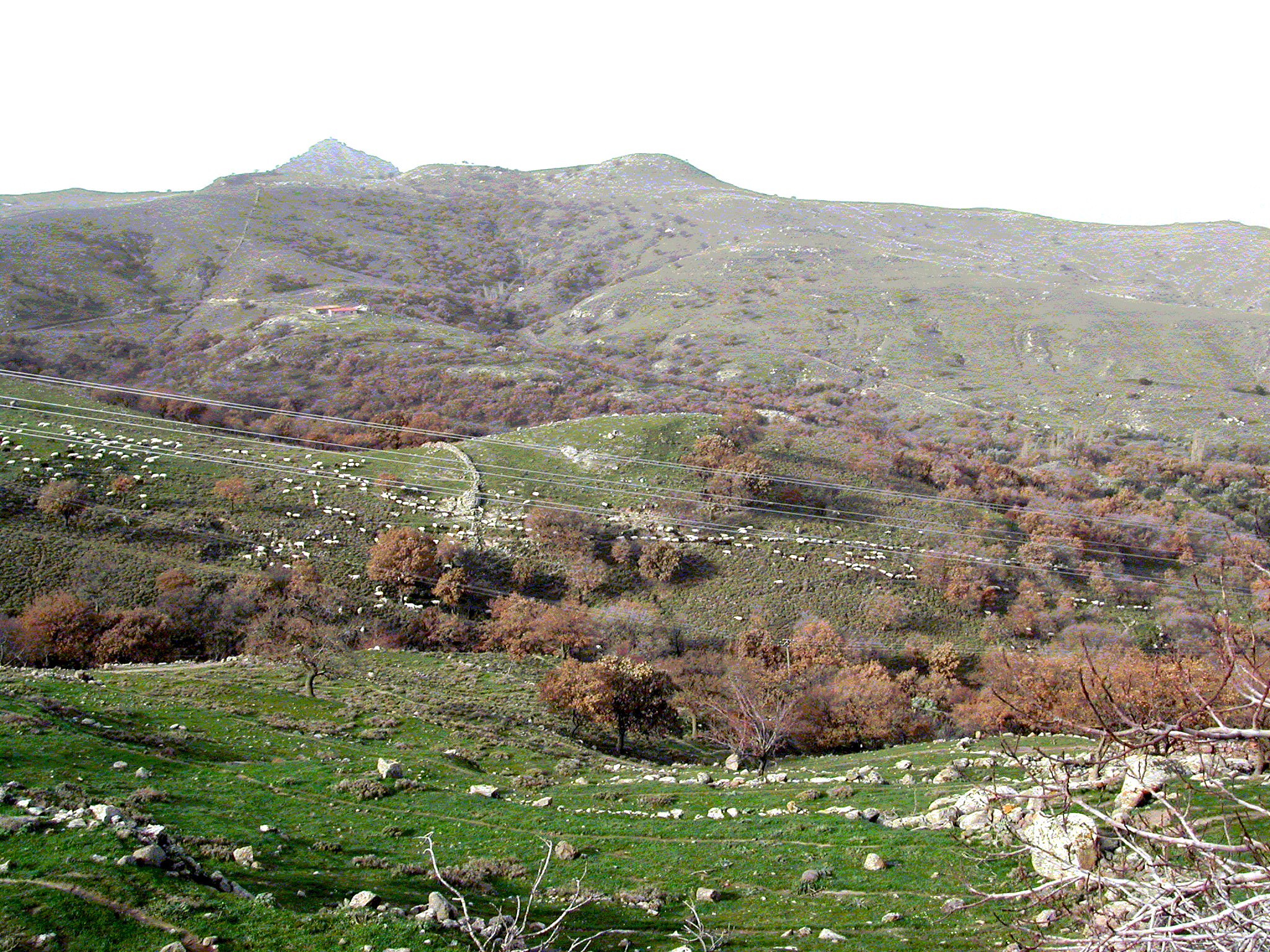 Fondo de pantalla de  2048x1536