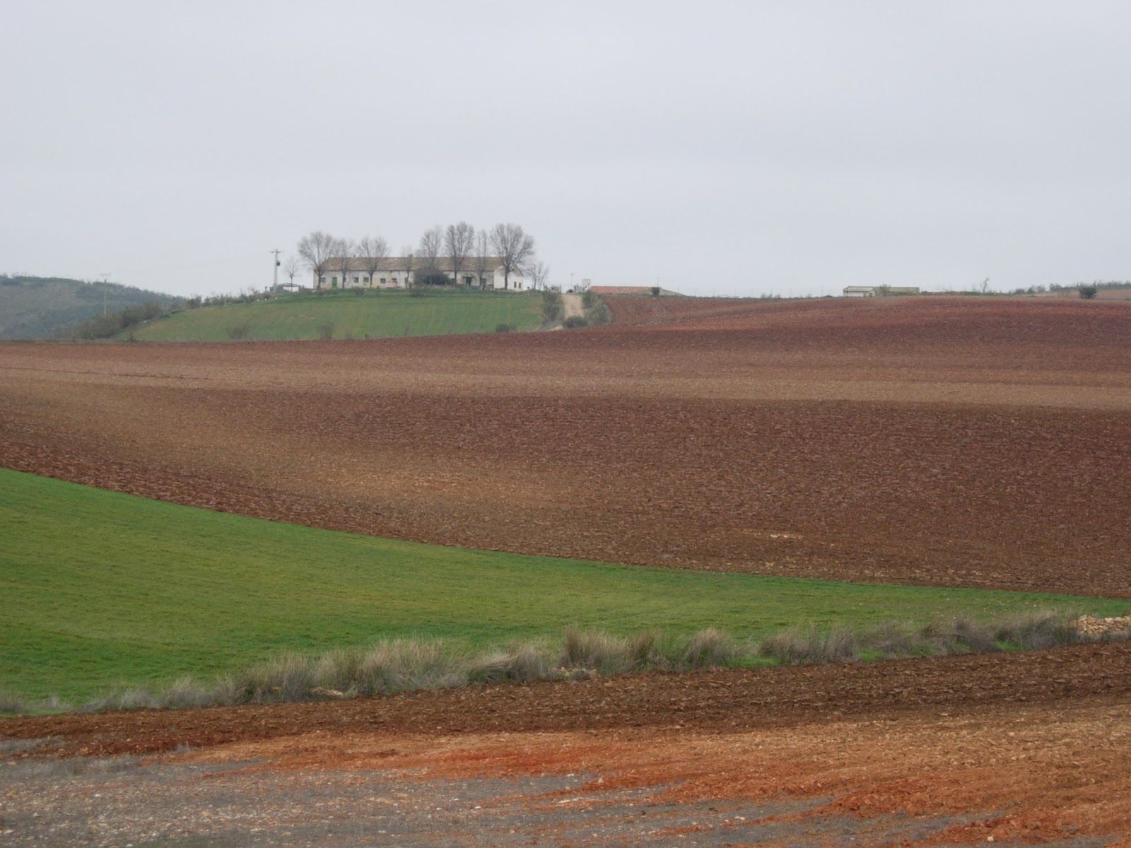 Fondo de pantalla de  1600x1200