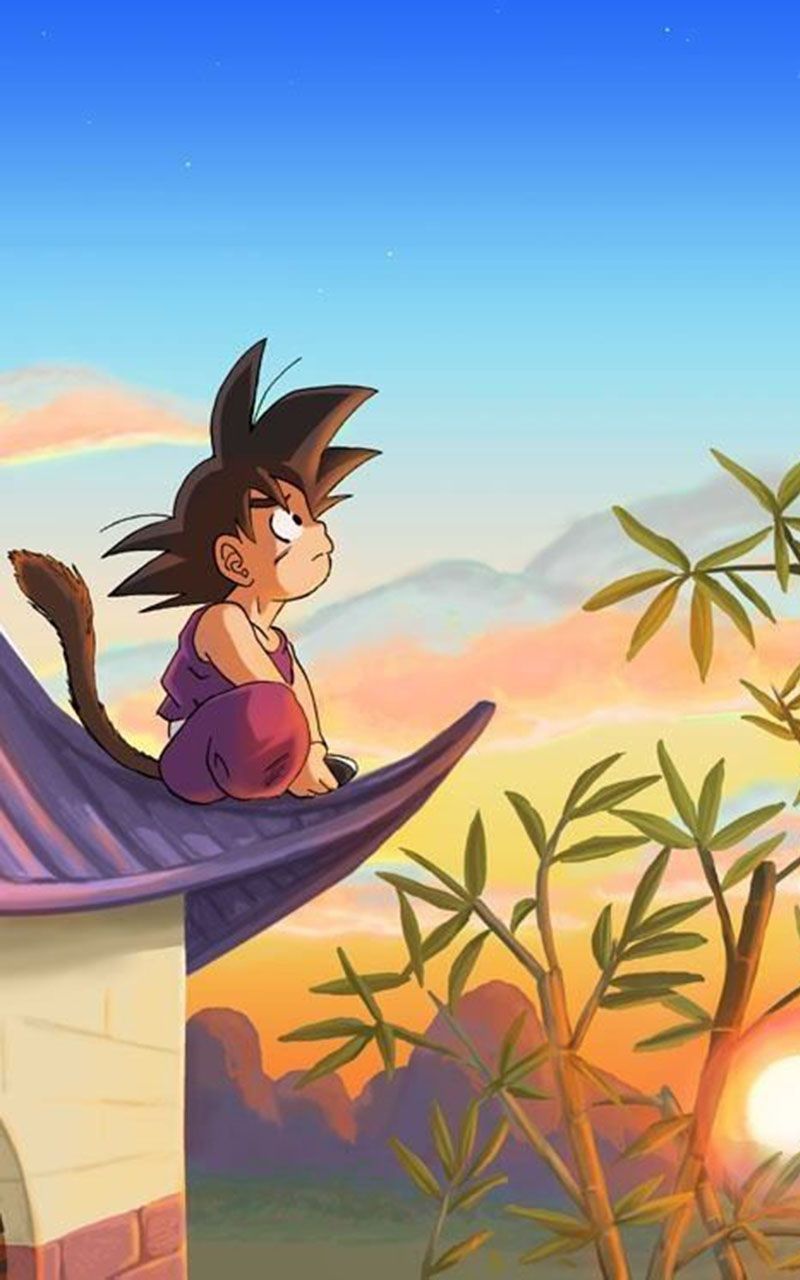 Fondo de pantalla de  800x1280