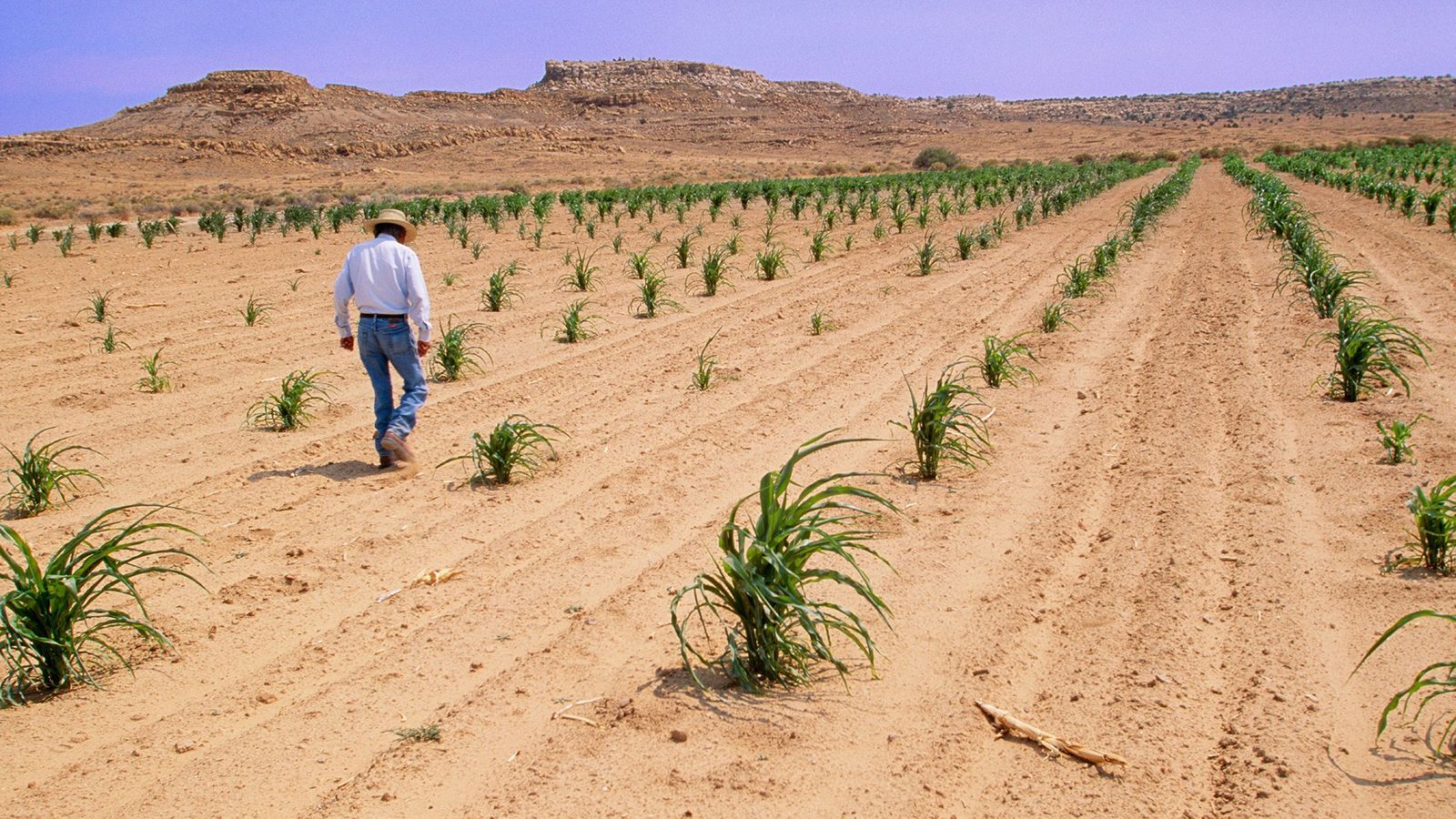 Fondo de pantalla de  1600x900