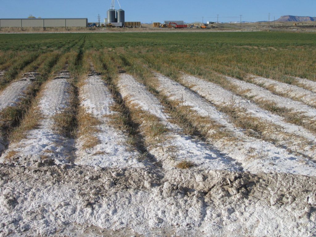 Fondo de pantalla de  1024x768