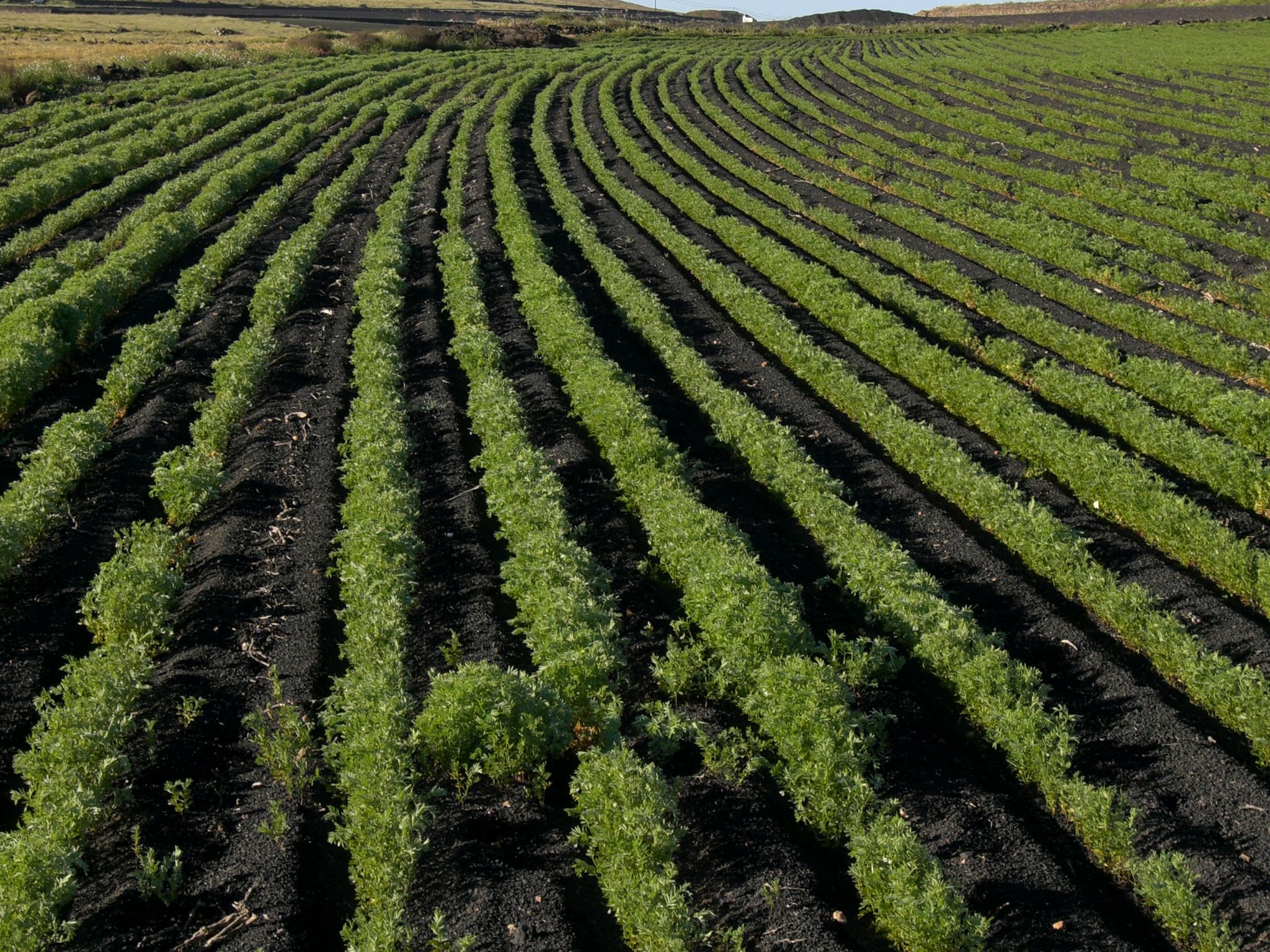 Fondo de pantalla de  2048x1536