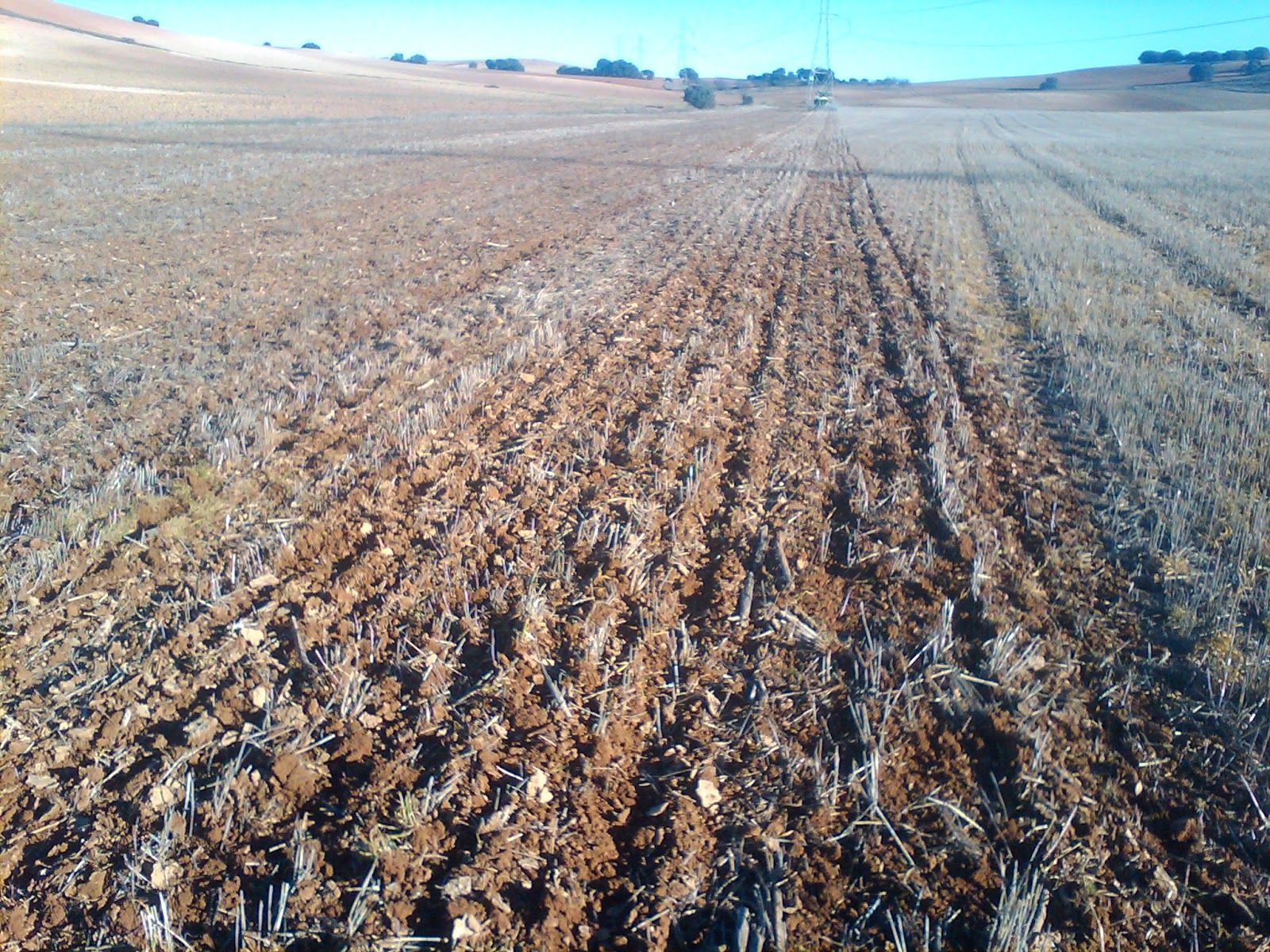 Fondo de pantalla de  1600x1200