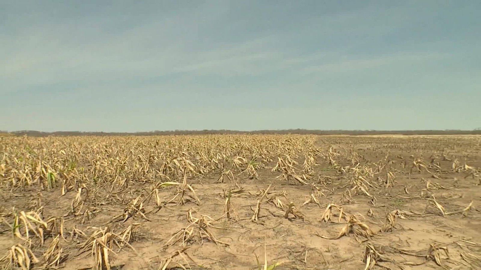 Fondo de pantalla de  1600x900