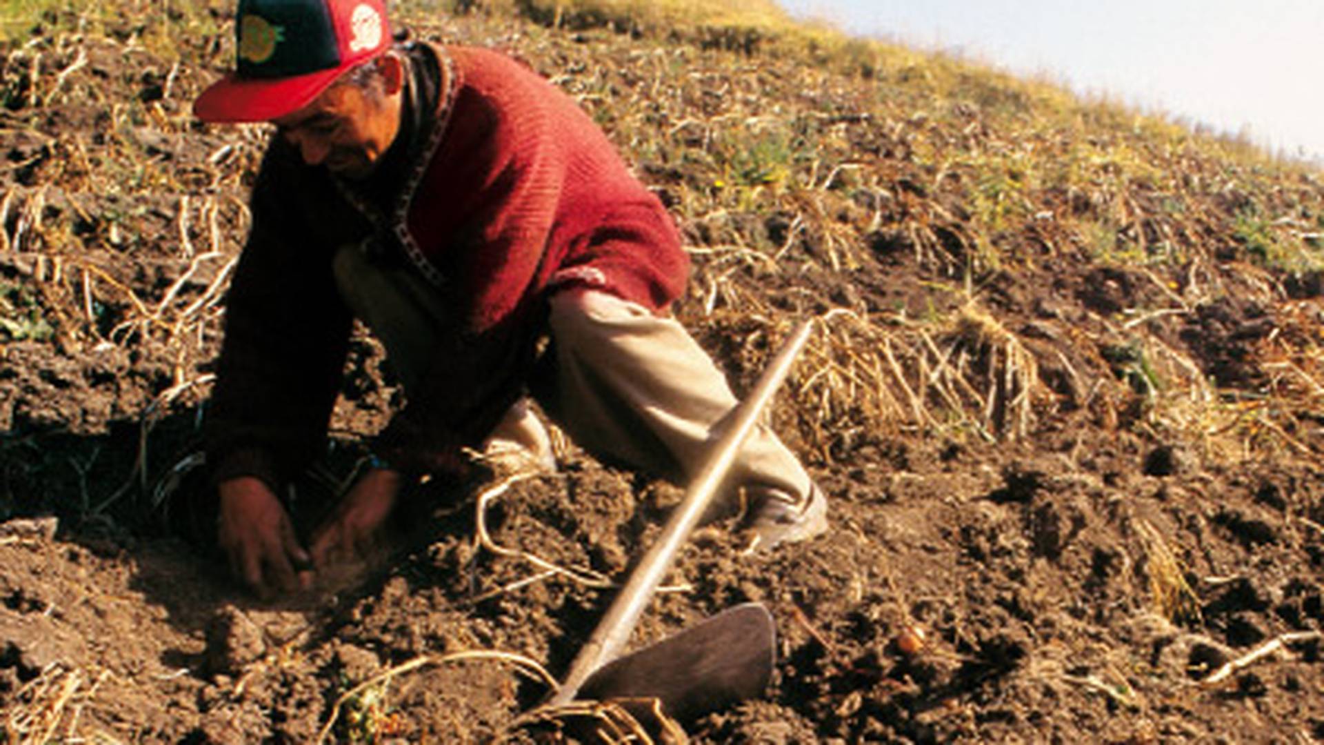 Fondo de pantalla de  1920x1080