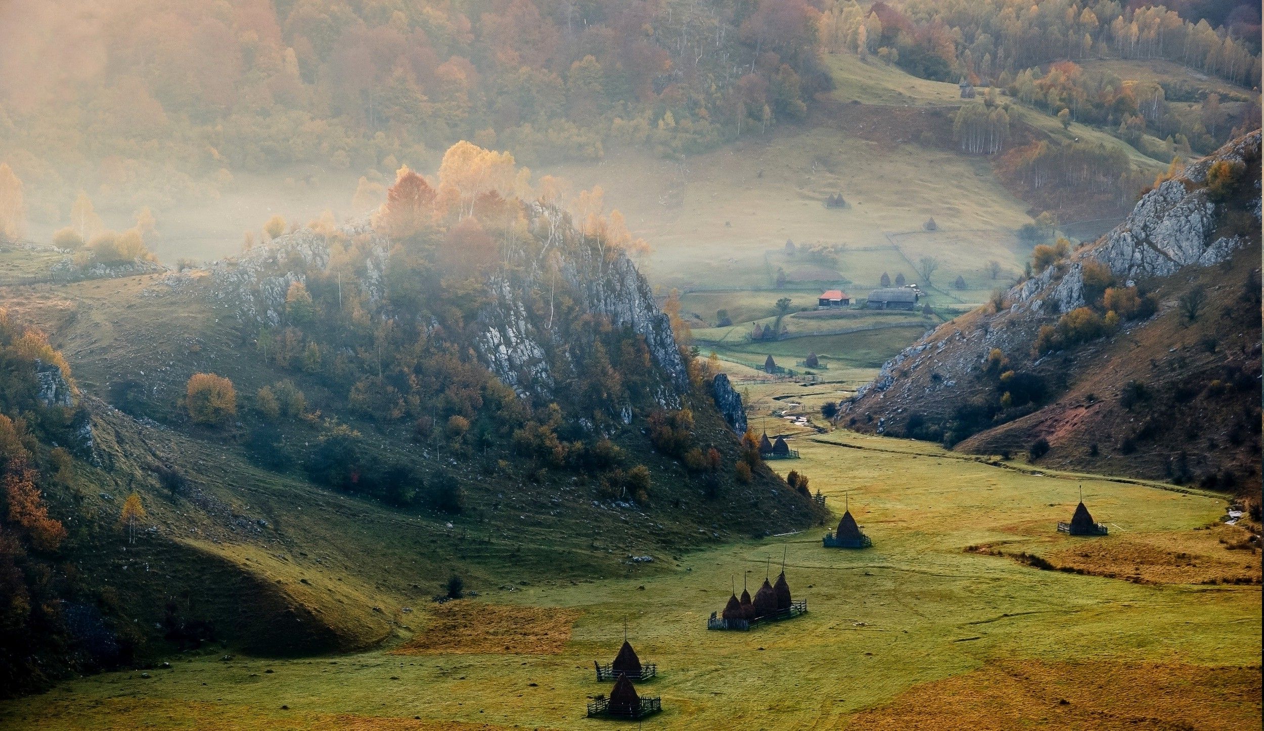 Fondo de pantalla de  2500x1446