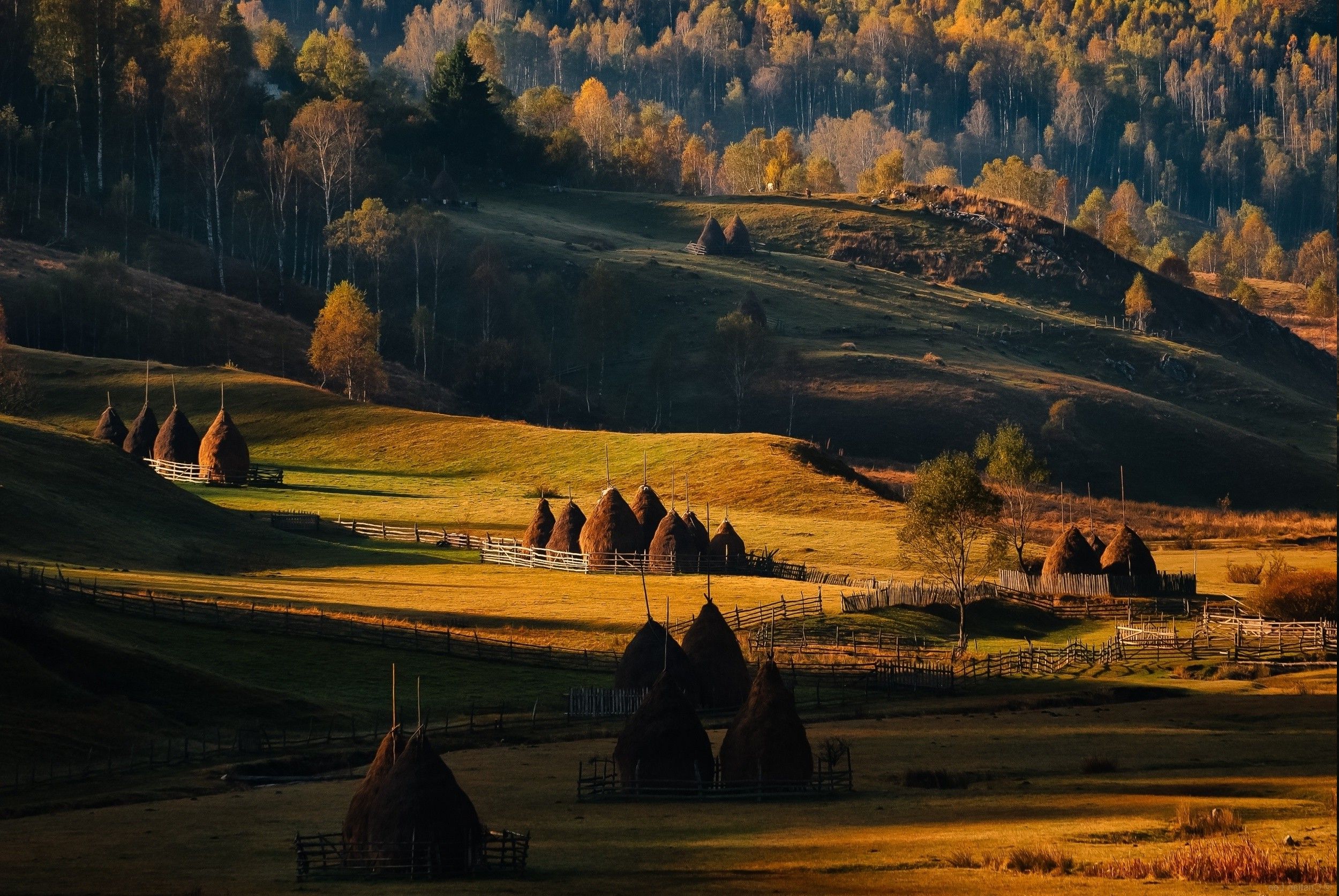 Fondo de pantalla de  2500x1673