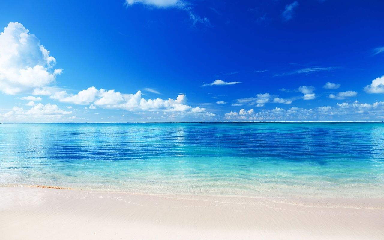 Fondo de pantalla de  1280x802