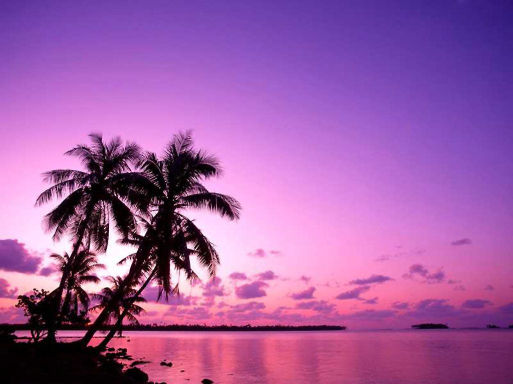 Fondo de pantalla de  1024x768
