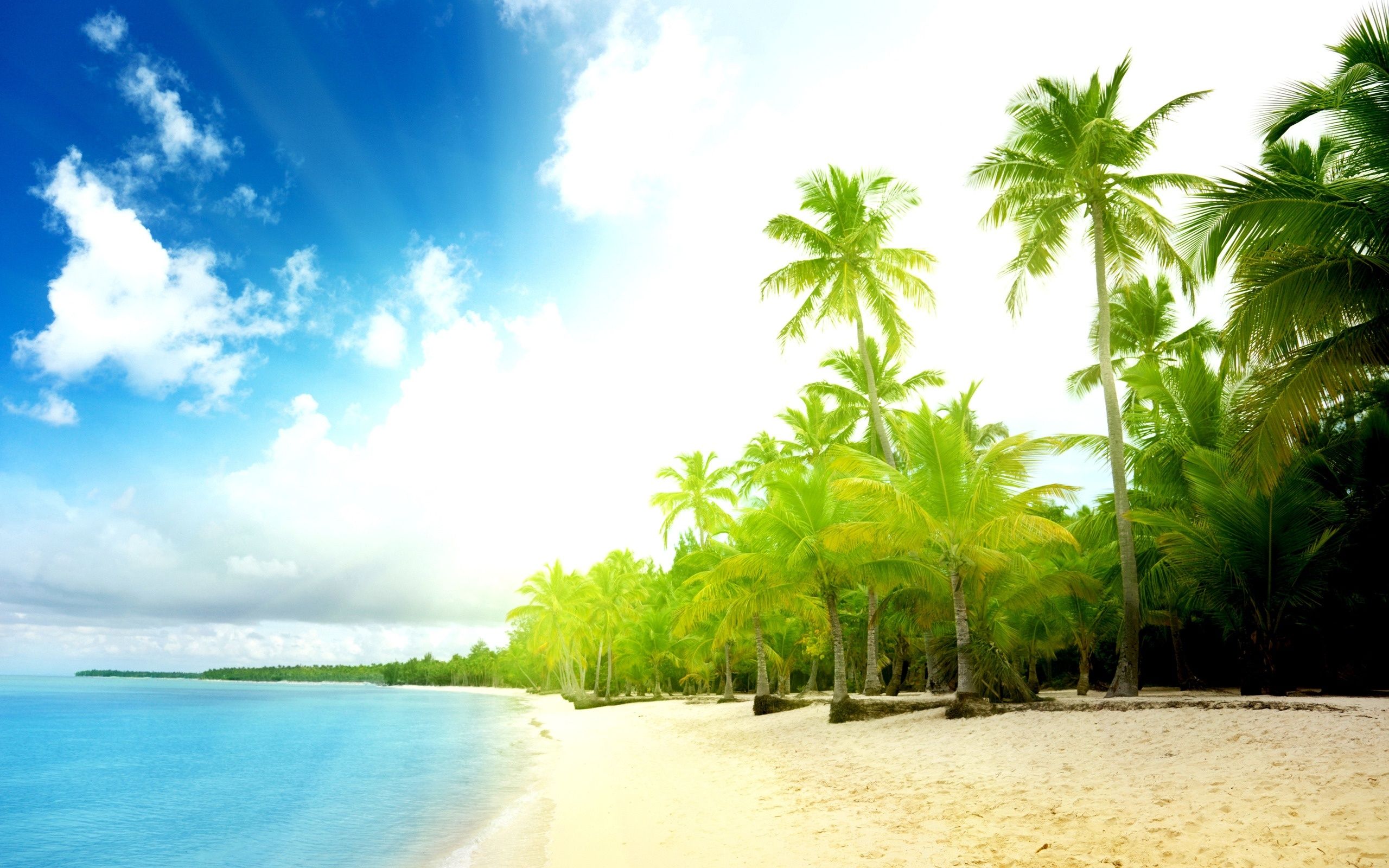 Fondo de pantalla de  2560x1600