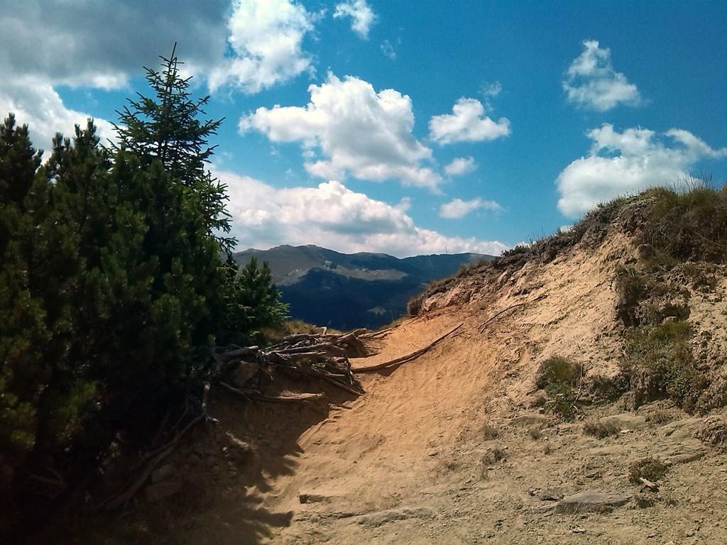 Fondo de pantalla de  1024x768