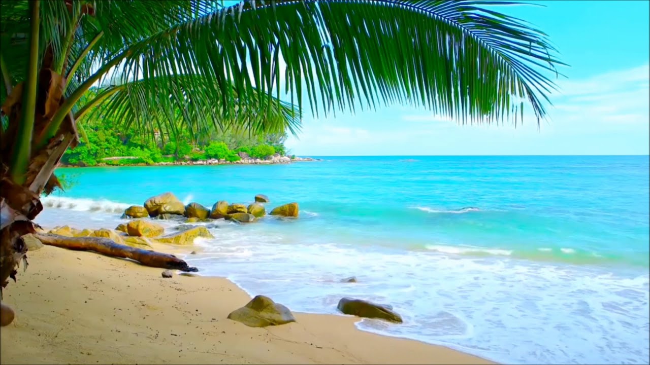Fondo de pantalla de  1280x720