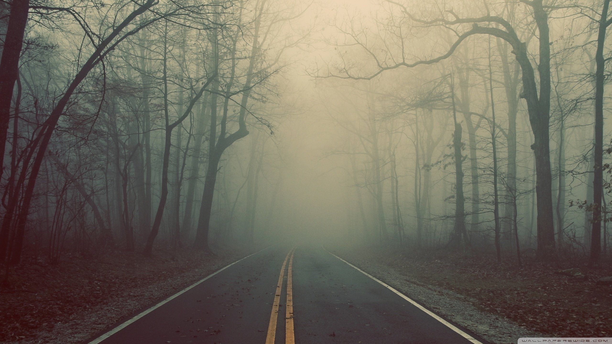 Fondo de pantalla de  2560x1440