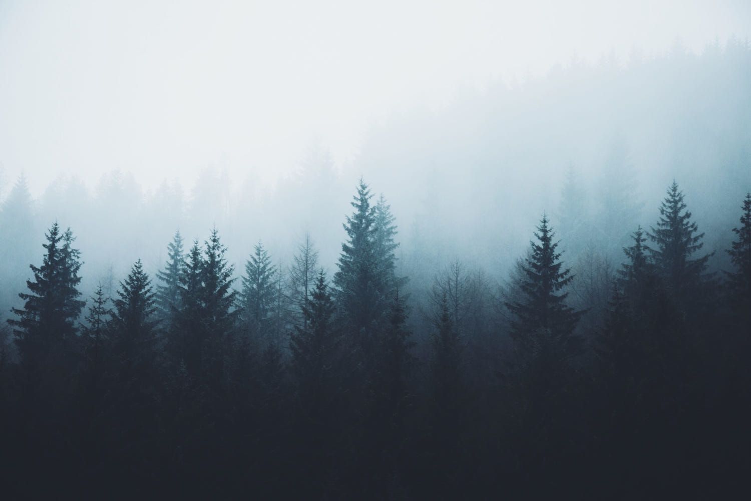 Fondo de pantalla de  1500x1000