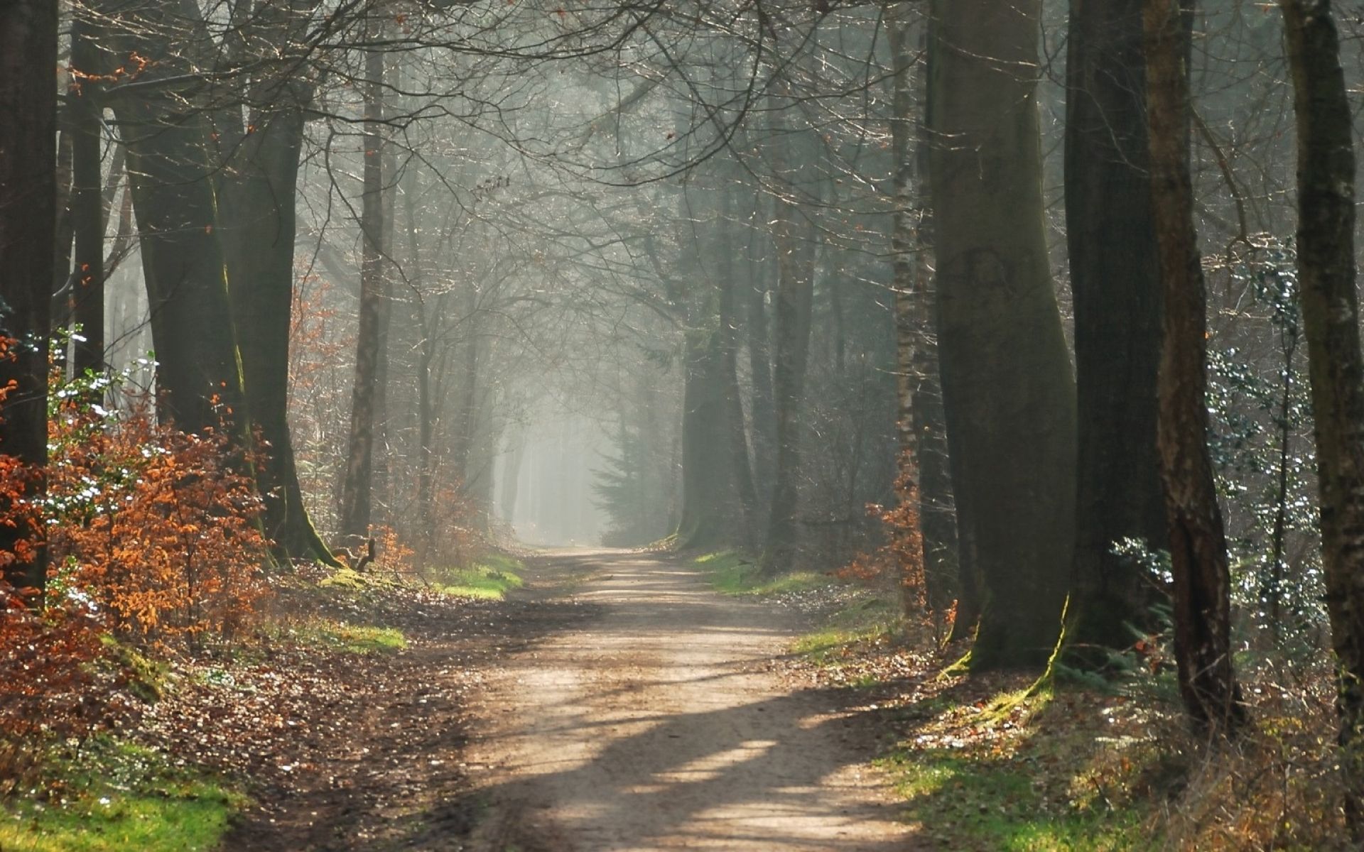 Fondo de pantalla de  1920x1200