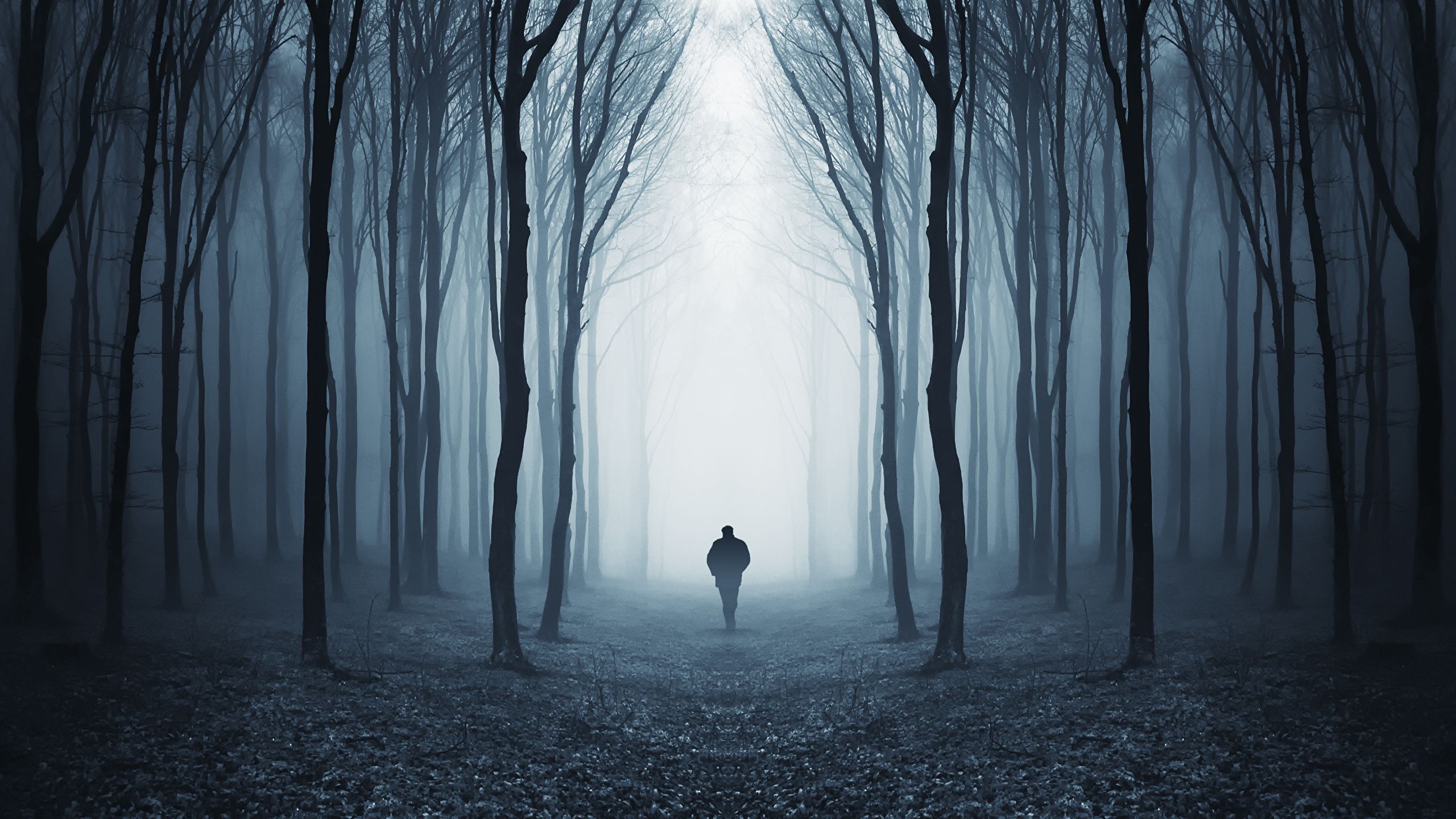 Fondo de pantalla de  2560x1440